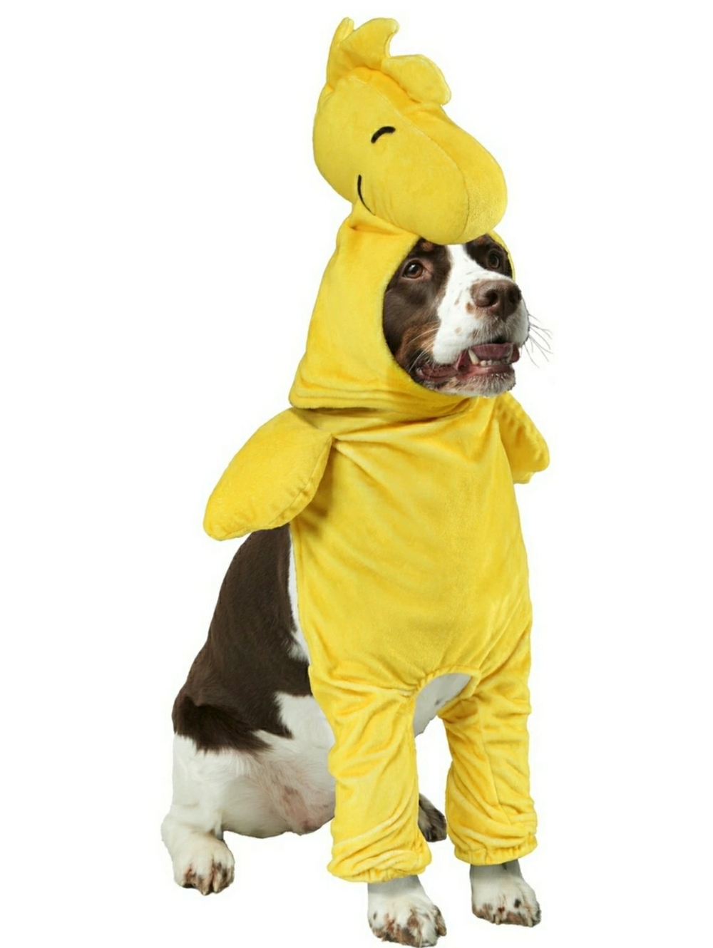 Peanuts Woodstock Dog Halloween Costume Yellow Size Large